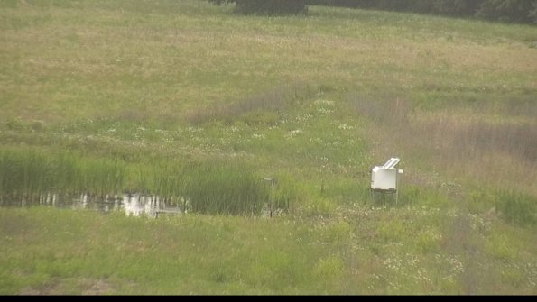 capture-12-22-06-06_17-25-21-46