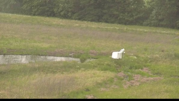 capture-13-22-06-06_17-25-49-33