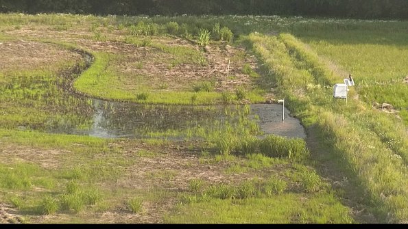 capture-14-22-06-06_08-04-50-46