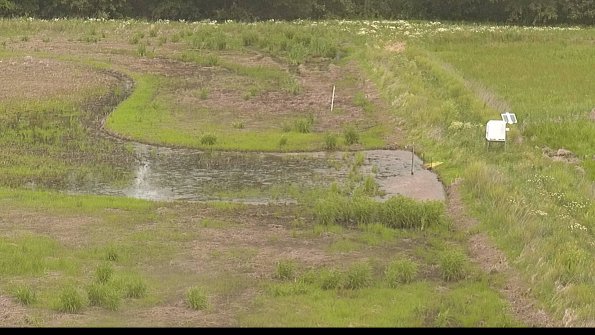 capture-14-22-06-06_12-14-20-32