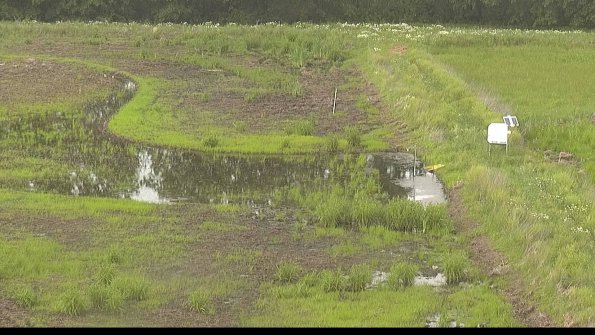 capture-14-22-06-06_16-23-54-46