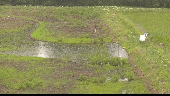 capture-14-22-06-06_17-26-18-35