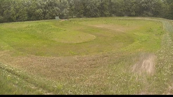 capture-15-22-06-06_12-14-34-40