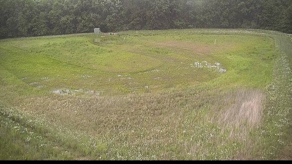 capture-15-22-06-06_20-33-39-48