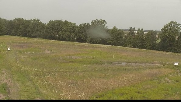 capture-4-22-06-06_10-08-52-19