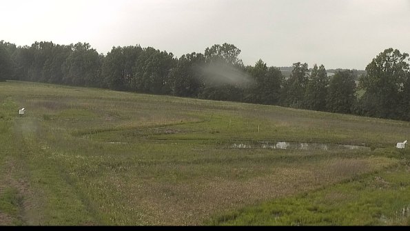 capture-4-22-06-06_16-23-12-25