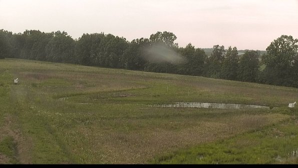 capture-4-22-06-06_17-25-36-21