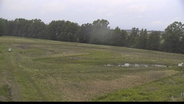 capture-4-22-06-06_20-32-43-32