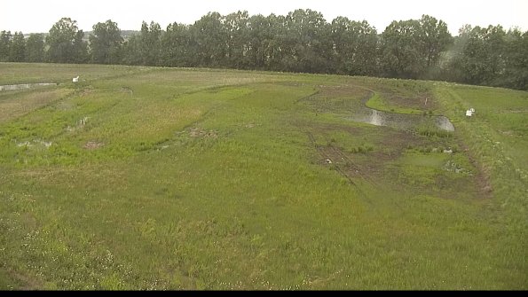 capture-6-22-06-06_17-26-05-21