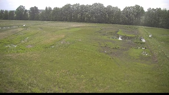 capture-6-22-06-06_20-33-11-69