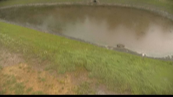 capture-8-22-06-06_15-20-04-38