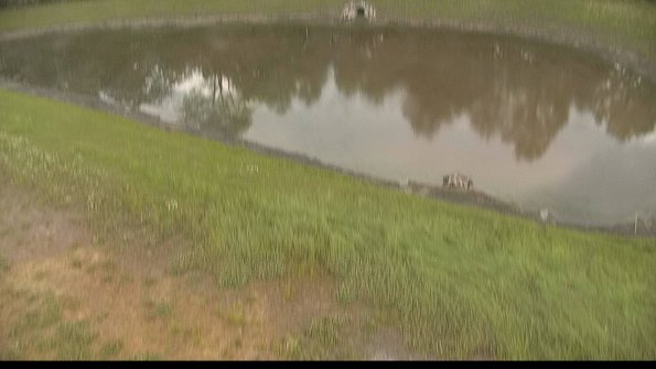 capture-8-22-06-06_16-22-27-37