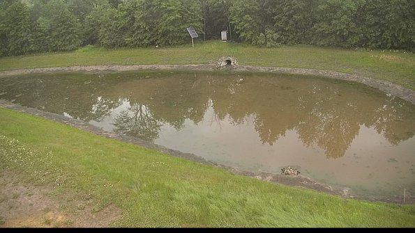 capture-8-22-06-06_19-32-55-72