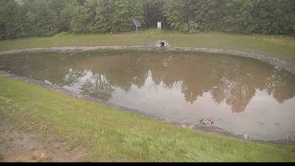 capture-8-22-06-06_20-32-00-18