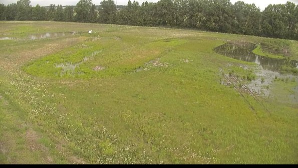 capture-1-22-06-07_10-05-11-55