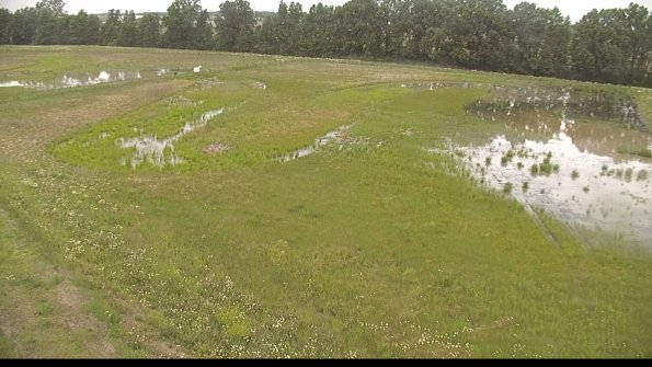 capture-1-22-06-07_12-09-58-94