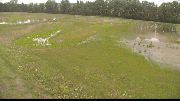 capture-1-22-06-07_13-12-22-70