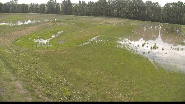 capture-1-22-06-07_15-17-10-46