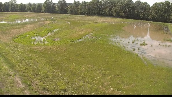 capture-1-22-06-07_16-19-34-35