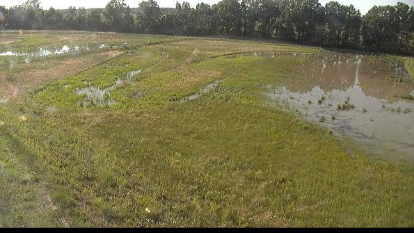 capture-1-22-06-07_18-24-22-34