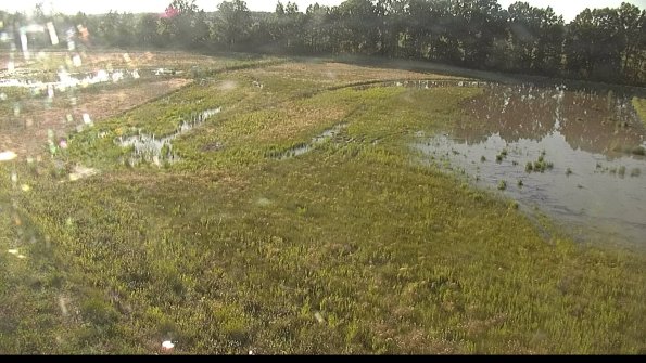 capture-1-22-06-07_19-26-46-44