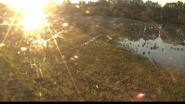 capture-1-22-06-07_20-29-10-56