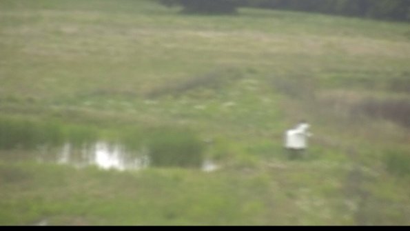 capture-12-22-06-07_07-58-45-43