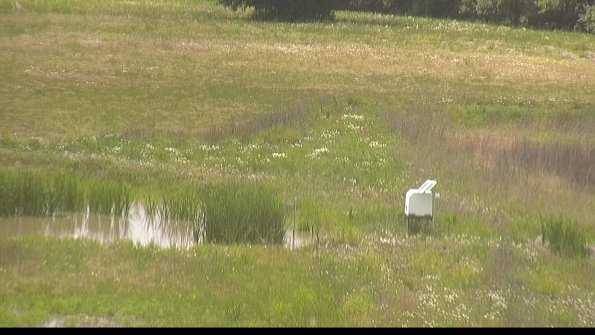 capture-12-22-06-07_14-13-08-23