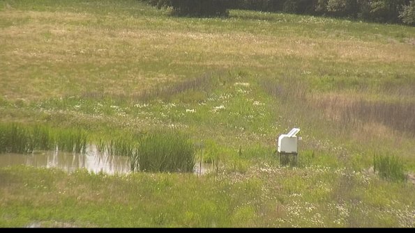 capture-12-22-06-07_15-01-21-81