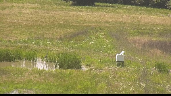 capture-12-22-06-07_15-15-31-53