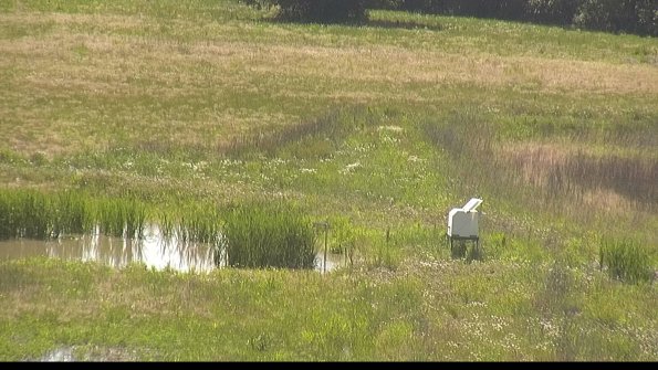 capture-12-22-06-07_16-17-56-62