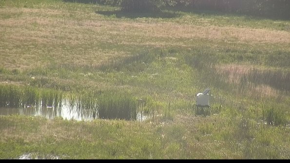 capture-12-22-06-07_18-22-43-48