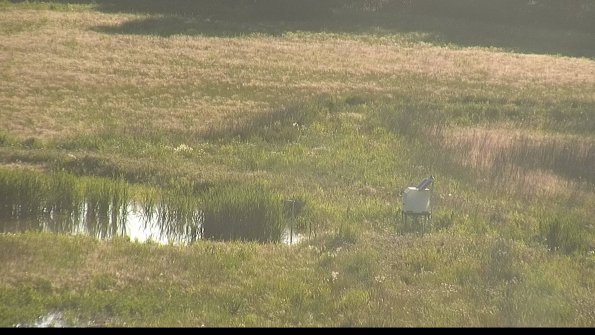 capture-12-22-06-07_19-25-07-30