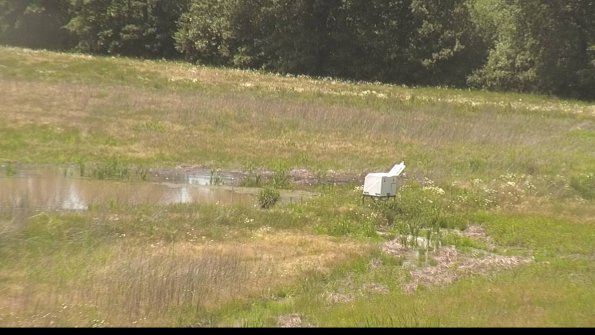 capture-13-22-06-07_15-15-59-36