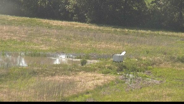 capture-13-22-06-07_17-20-47-31