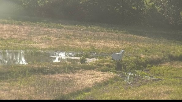 capture-13-22-06-07_19-25-35-30