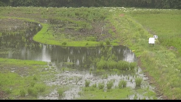 capture-14-22-06-07_07-59-41-39