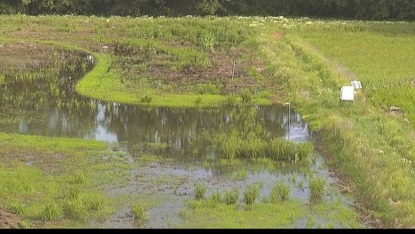 capture-14-22-06-07_09-02-06-38