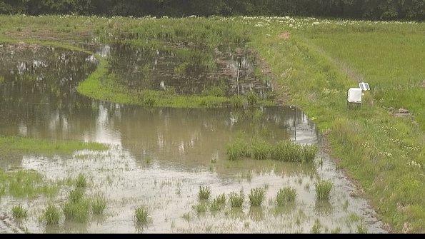 capture-14-22-06-07_11-06-53-04