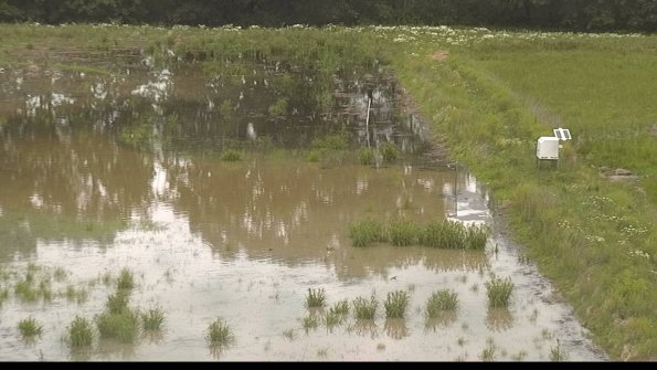 capture-14-22-06-07_12-09-17-07