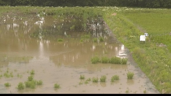 capture-14-22-06-07_13-11-41-06