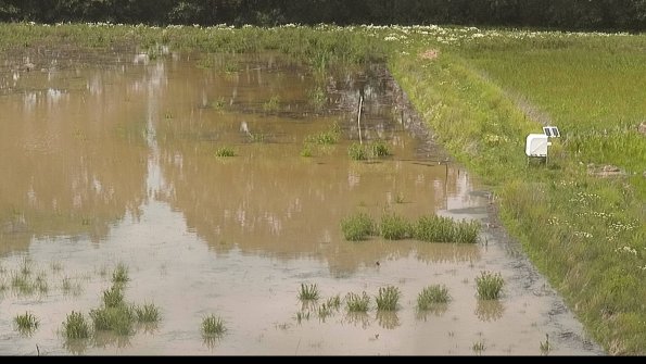 capture-14-22-06-07_15-16-28-35