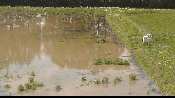 capture-14-22-06-07_16-18-52-38