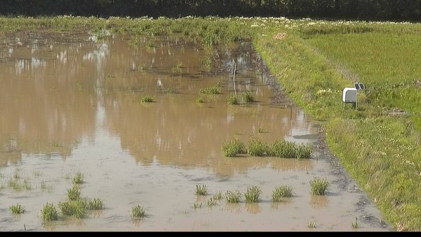 capture-14-22-06-07_17-21-16-37