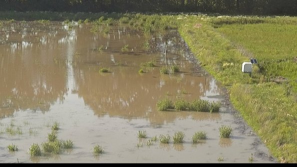 capture-14-22-06-07_18-23-40-37