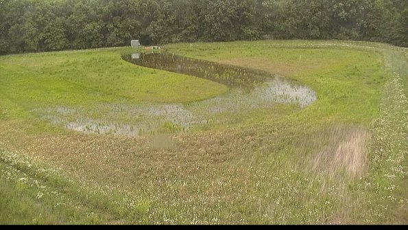 capture-15-22-06-07_13-05-55-11