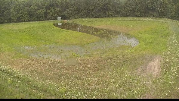 capture-15-22-06-07_13-09-16-91