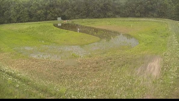 capture-15-22-06-07_13-11-54-57