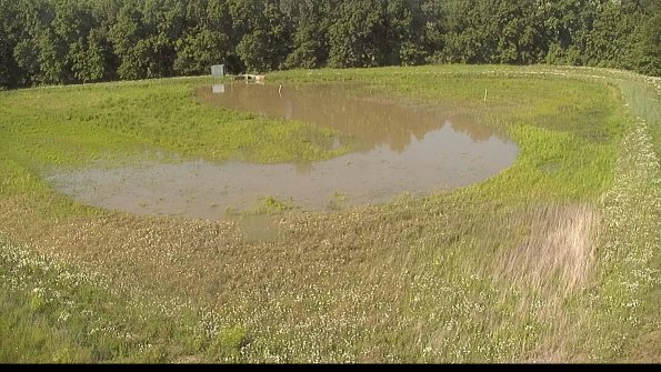 capture-15-22-06-07_17-21-30-35