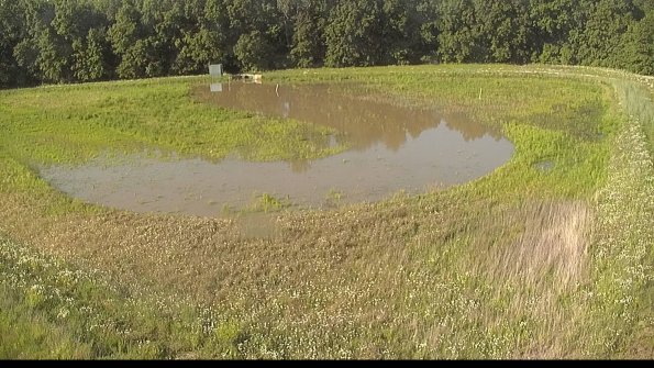 capture-15-22-06-07_18-23-54-35